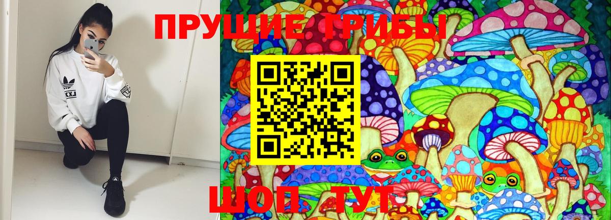 Псилоцибиновые грибы мицелий Вольск